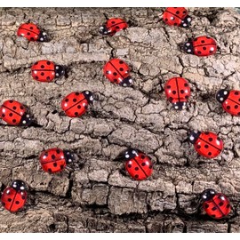 Miniature Resin Ladybugs for Crafts, Decorations, Ornaments, Fairy House, Garden Decor, Bright Red, Mini,Tiny