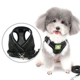 Zunea Small Dog Harness and Lead Set No Pull Puppy Vest Harnesses Adjustable Reflective Soft Mesh Step-in Pet Cat Harness Escape Proof for Walking, Bright Colors for Dogs Girl Boy Black S
