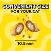 Temptations Classic Crunchy and Soft Cat Treats, Creamy Dairy Flavor,