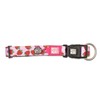 Max & Molly Gotcha! Dog Collar with Smart ID, Padded