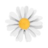 PATIKIL Daisy Pin, 1 Pcs Flower Women Brooch Lapel Pins