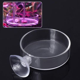 caralin Aquarium Shrimp Feeding Dish with Suction Cup High Transparent Glass Bottom Feeder Food Bowl 2.4x0.7 Inch Round Tray Glass
