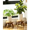 Short Plant Stand Indoor Outdoor 2 Pack, Solid Wood Plant