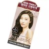 WOW Color 려 우아채 멋내기 새치크림 4N짙은갈색 3회분 1개 염색