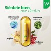 Akkermansia 120 Caps Jengibre Berberina Mejora Digestión y Metabolismo Fortalece