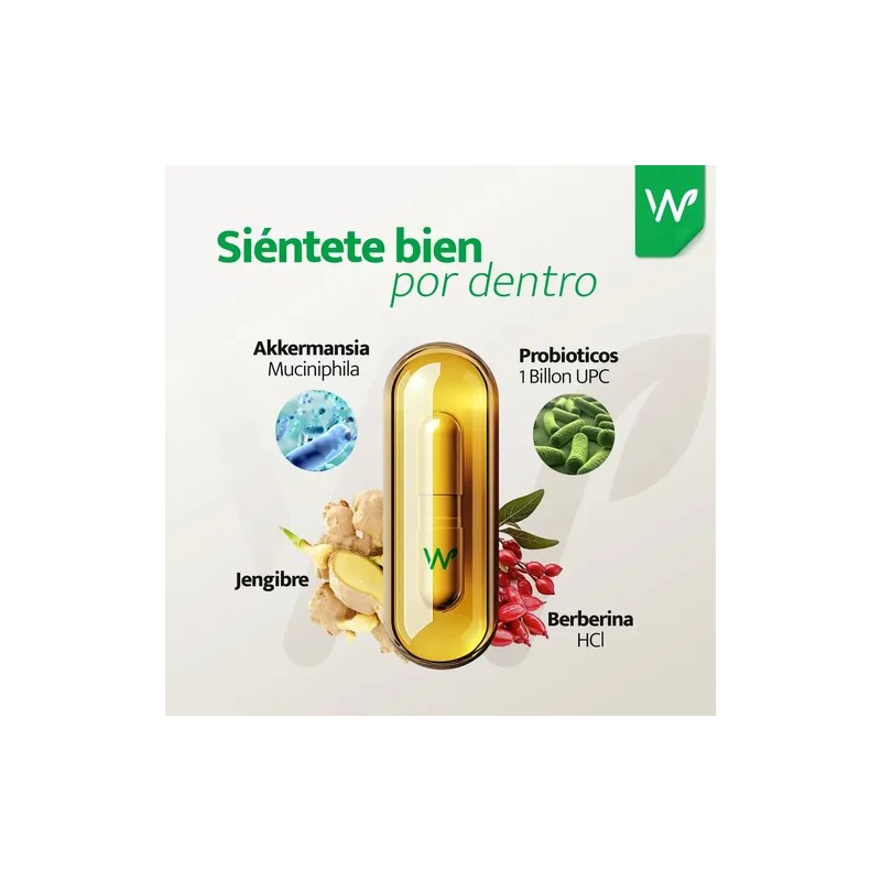 Akkermansia 120 Caps Jengibre Berberina Mejora Digestión y Metabolismo Fortalece