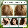100ml Champú Orgánico De Romero Para El Crecimiento Del Cabello