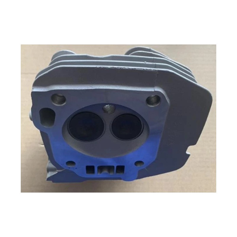 BMP Cylinder Head Kit For NorthStar 8000PPG Generator