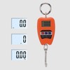 Portable Electronic Scale High Accuracy Digital Hanging Scale 200kg Weight
