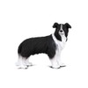 CollectA Border Collie