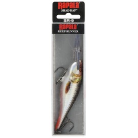 Rapala Unisex-Adult Shad Rap Angelköder-Angelzubehör mit Balsa-Konstruktion-Süßwasser Spinnköder-Lauftiefe 2.4-4.5m-Fischköder 9cm, 15g-Hergestellt in Estland-Live Hologram Roach, Standard