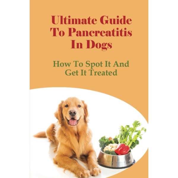 Ultimate Guide To Pancreatitis In Dogs: How To Spot It