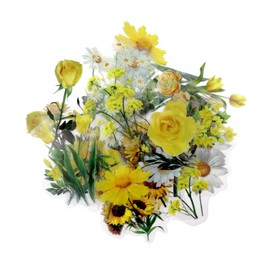 Modixun 160pcs Flower Plant Stickers,20 Patterns PET Transparent Decorative Stickers, Floral Scrapbooking for Craft Album Journal, Style B