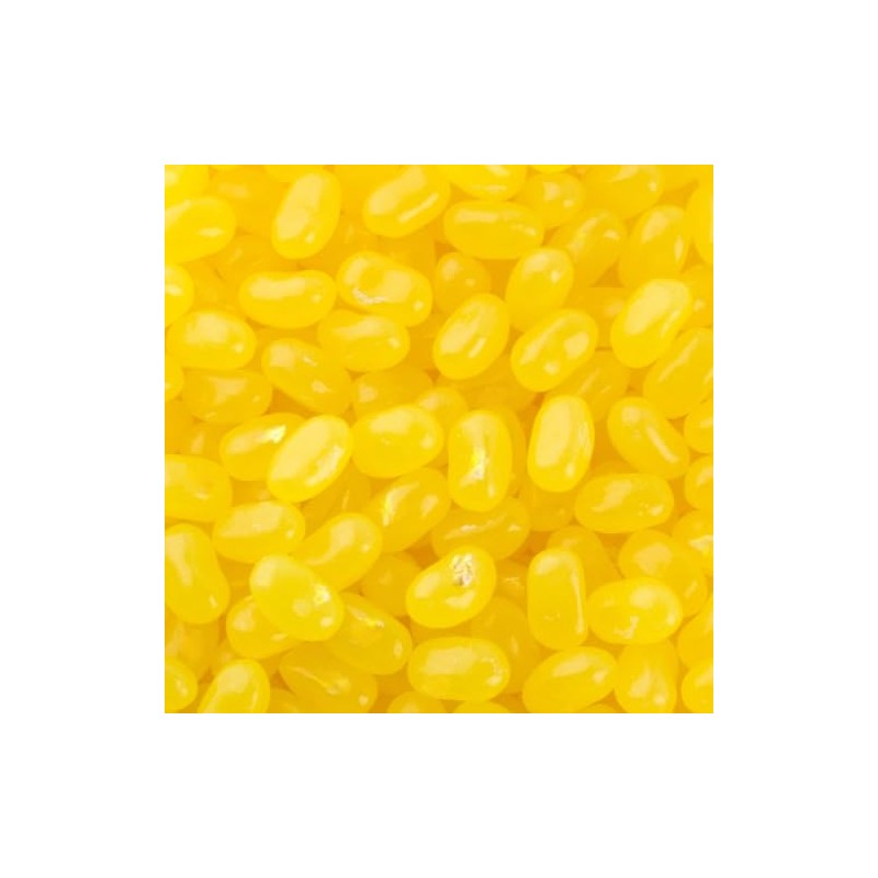 Bayside Candy Jelly Bean Collection All Flavors Jelly Beans (1LB,