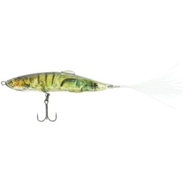 Imakatsu Eyarrow 65F Dazzler #831 3D Miharagawa Ganga