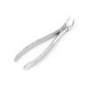 OdontoMed2011® English EXTRACTING Forceps 87, Lower MOLARS, English Pattern Extraction