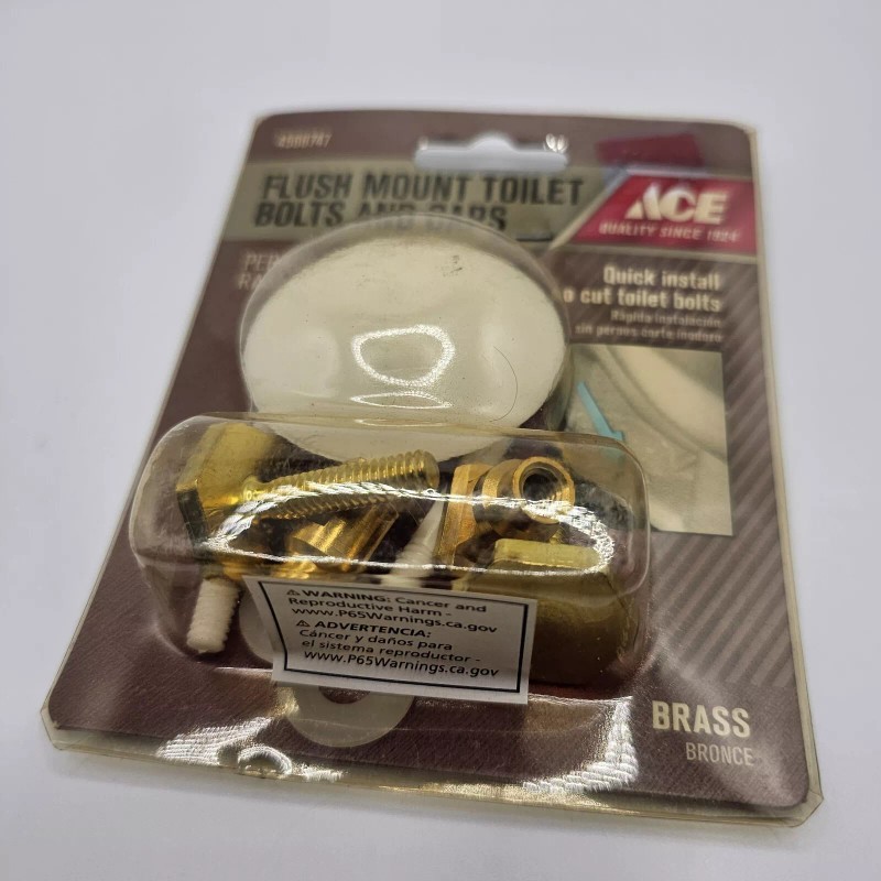 ACE Flush Mount Toilet Bolts And Caps Brass #4568747
