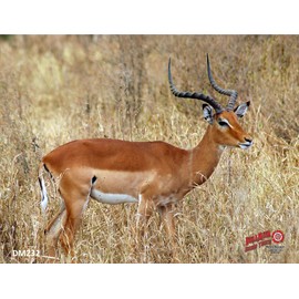 Duramesh Archery Targets Impala, DM 232