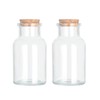 Magic Season Decorative Glass Bottles with Cork Stoppers (5 fl
