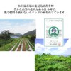 【 鹿児島県 佐多岬産 】国産 モリンガ パウダー 80g モリンガ粉末 無農薬 無添加