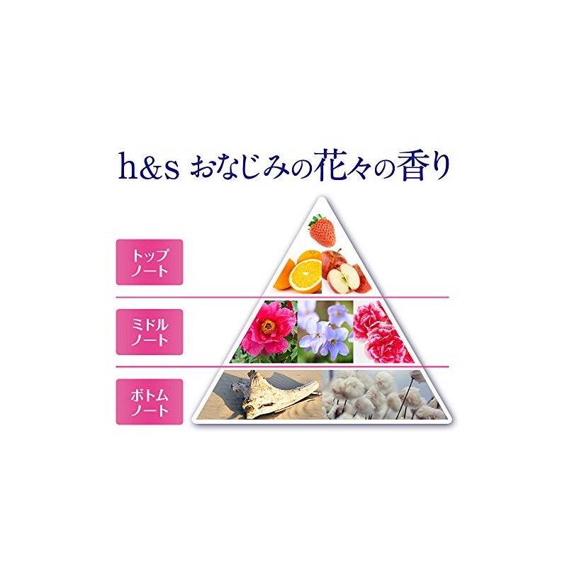 [Large Capacity] H&S Conditioner Moisture Refill Extra Large Size 550g