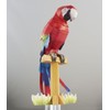 HAPPY PAPER コンゴウインコ