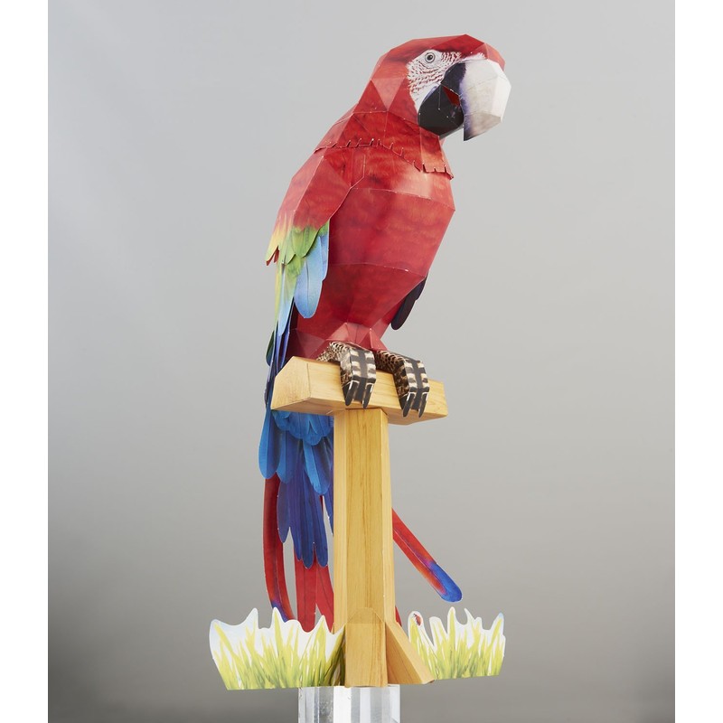HAPPY PAPER コンゴウインコ