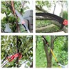 YTFLOT 2-32 Feet Pole Saws For Tree Trimming Manual Pole