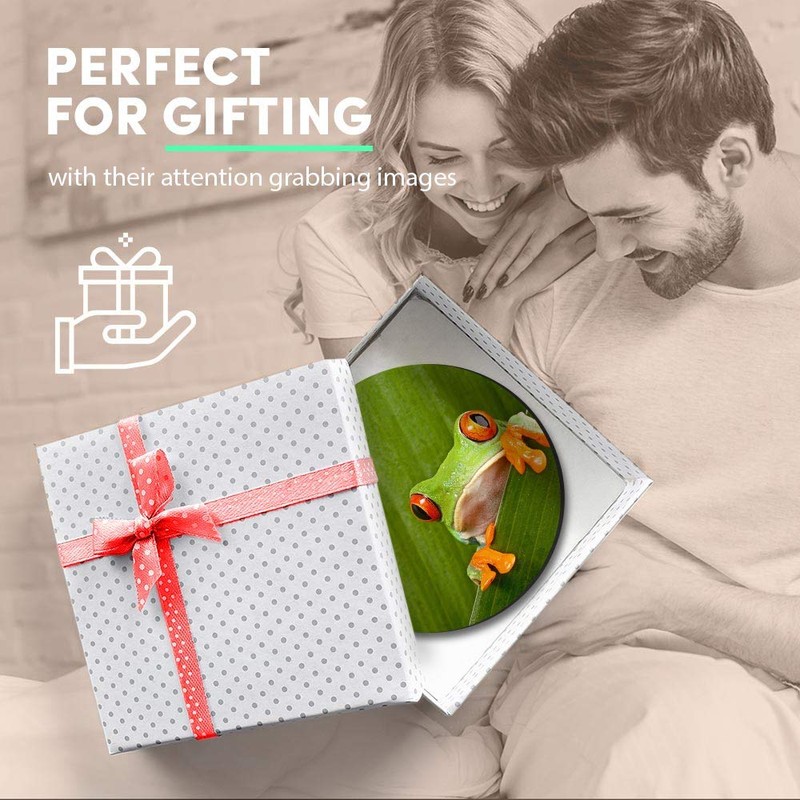 1 x Round MDF Magnet - Green Frog Nature Frogs