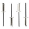 BOTTEN 100 pcs 1/8"x 1/2" Stainless Steel Blind Pop Rivets,3.2