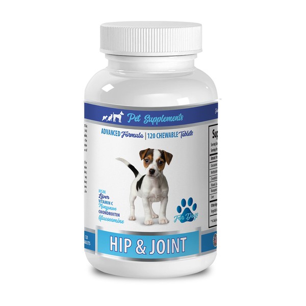 Pet Supplements Hip and Joint Soft Chews for Dogs -
