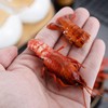 Crawfish Peeler Tool - Stainless Steel Crawfish Tail Remover |