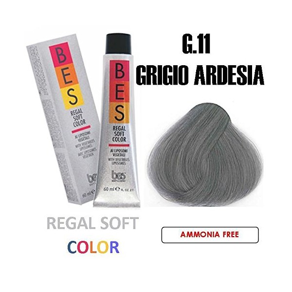 BES REGAL SOFT HAIR COLOR 2.1 OZ/60 ML G.11 SLATE GREY