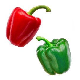 40ct Sweet Pepper Seeds for Planting,Green & Red Bell Pepper,Non-GMO Heirloom Seed Vegetable Seeds for Home Vegetable Garden&Hydronic Pods-Veggie Seeds:California Wonder