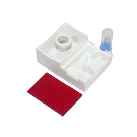 Ant Nest Small Ant Farm Ant House for ant Study of Ant Behavior Terrarium Educational Formicarium (Model-C)