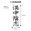 Shachihata X2-B-228V4 Business Stamp, Capless, B Shape, Black, Manchu Yin