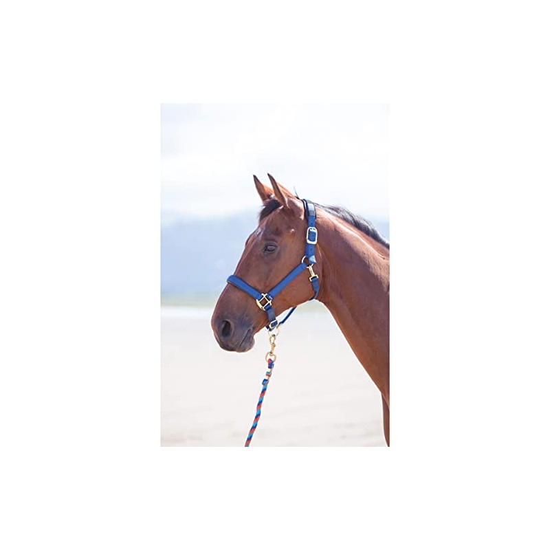 Shires Topaz Nylon Pony/Horse Headcollar - Navy Blue Cob