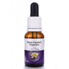 Living Essences Many Headed 15ml