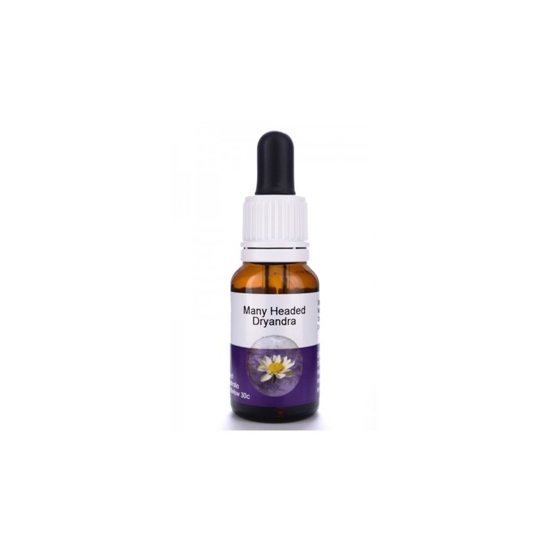 Living Essences Many Headed 15ml