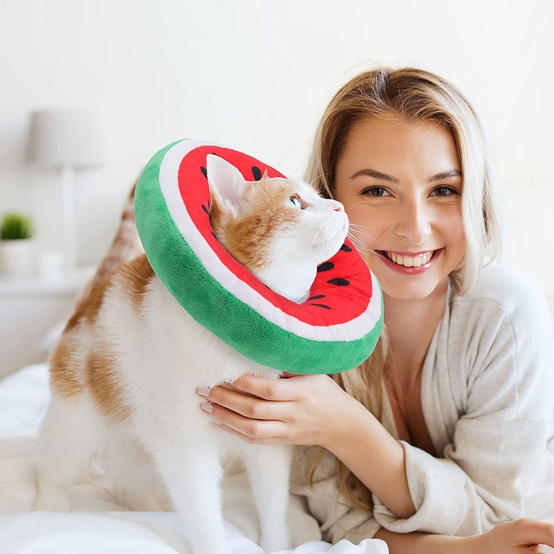 Collar de Recuperación Para Gatos y Perros, Ajustable y Cómodo