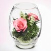 Fiora Flower | Long Lasting Real Roses in a Sealed
