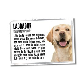 Labrador Duden Dog Sign with Saying Door Sign Dog Sign Warning Sign Fun
