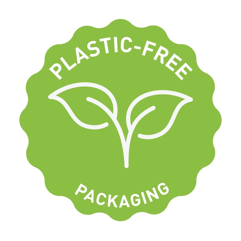 Finocam - Wall Calendar 2026 30x30 cm Month to View