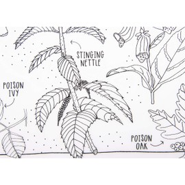 MODERN-TWIST Waterproof, Dishwasher Safe Mark, Mat & Marker Set, Dangerous Plants