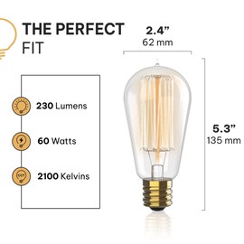 HUDSON BULB CO. Hudson Bulb Co. Vintage Incandescent Edison Light Bulbs, 60W, E26/E27 Base, 2100K Dimmable Decorative Lights, ST58 Style Warm Glow, Antique Squirrel Filament for Outdoor and Indoor Use - 6 Pack