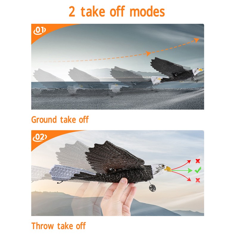 Bird Plane Toy 2 Channels Broken Resistant Remote Control Bird