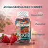 WellBoost Ashwagandha Max Gummies – 3000mg Ashwagandha & 250mcg Vitamin