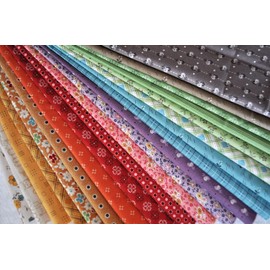 Autumn 20 Fat Eighths Bundle by Lori Holt for Riley Blake, 2 1/2 Yards Total