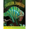 Chameleon, Chameleon