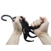 MAGMA 2 Tie Down Straps with Buckle and Hook 1.2